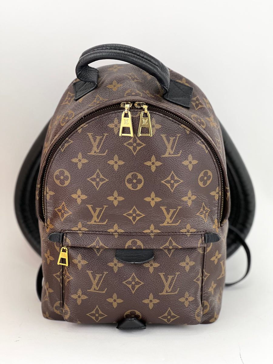 Louis Vuitton Backpack Palm Springs Mini Monogram Canvas School Travel Bag  A991