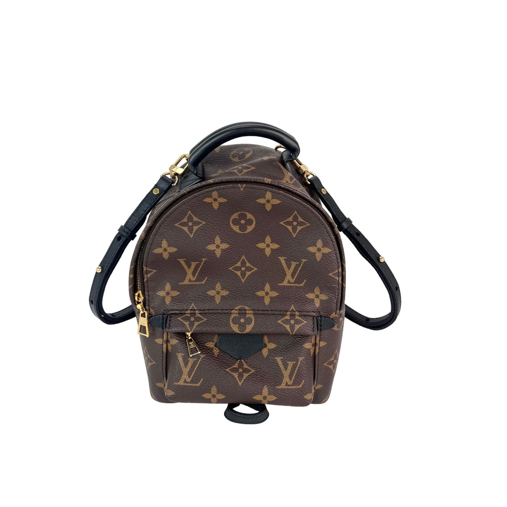 LOUIS VUITTON Palm Springs Mini Monogram Backpack Bag