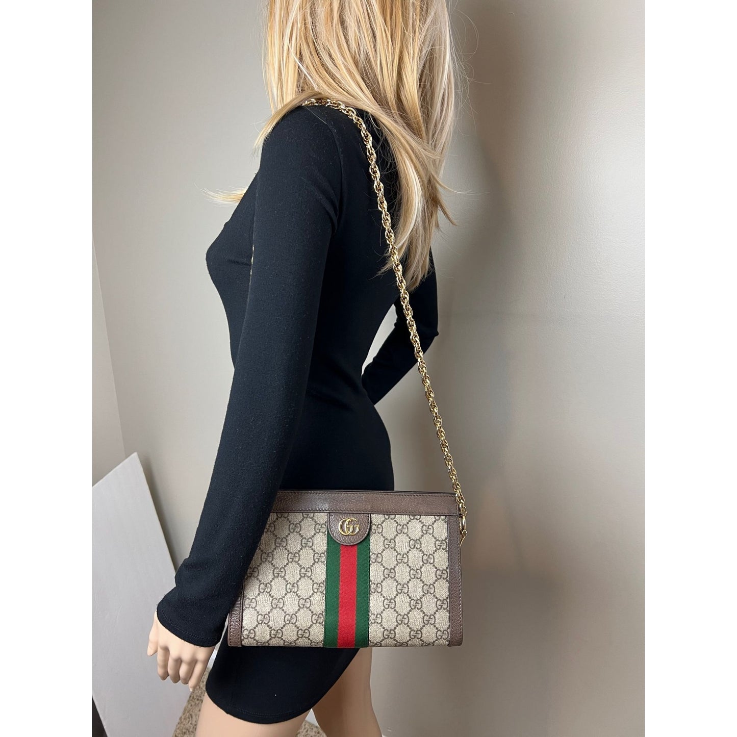 
                  
                    Gucci Ophidia GG Supreme Small Web Chain Shoulder Bag
                  
                