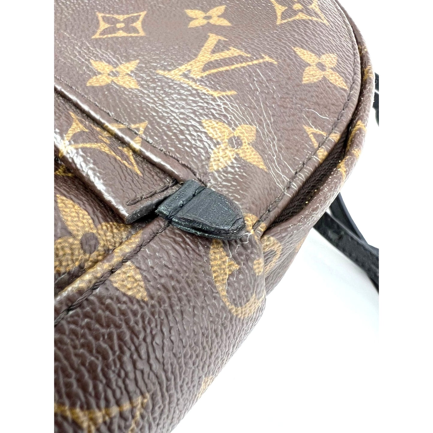
                  
                    Louis Vuitton Palm Springs Mini Monogram Backpack Bag
                  
                