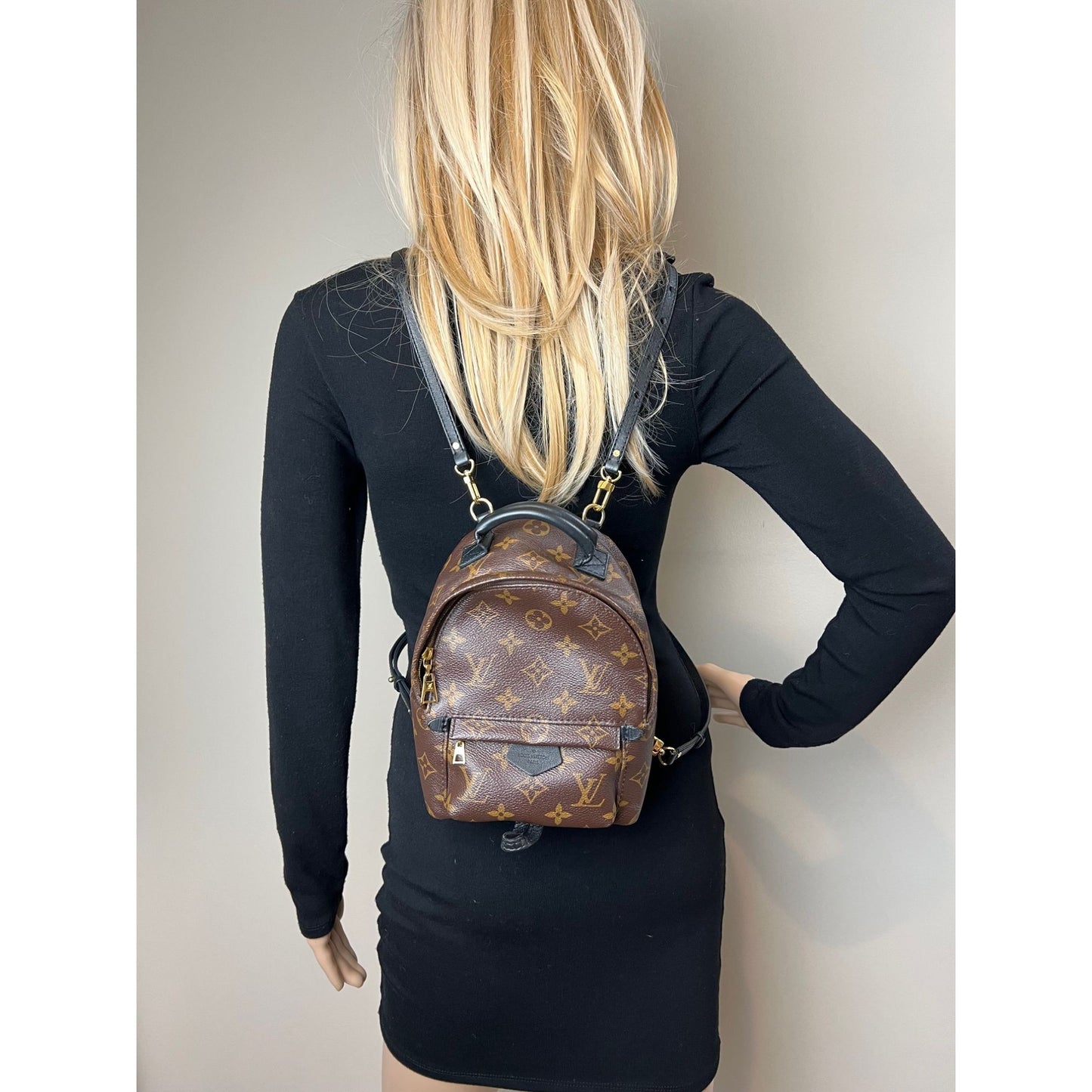 
                  
                    Louis Vuitton Palm Springs Mini Monogram Backpack Bag
                  
                