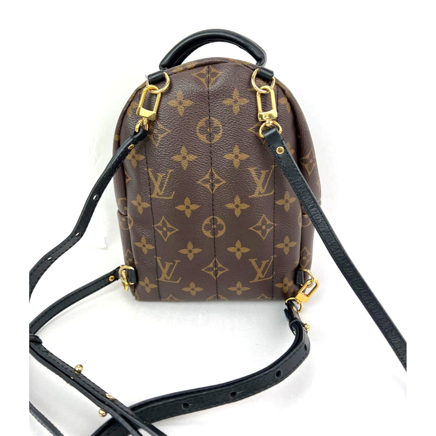 
                  
                    Louis Vuitton Palm Springs Mini Monogram Backpack Bag
                  
                