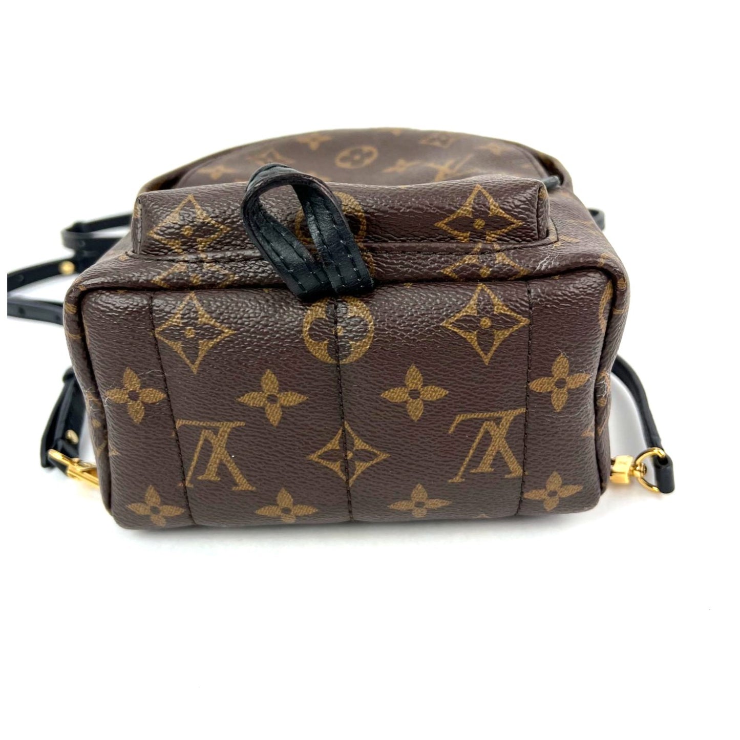 
                  
                    Louis Vuitton Palm Springs Mini Monogram Backpack Bag
                  
                