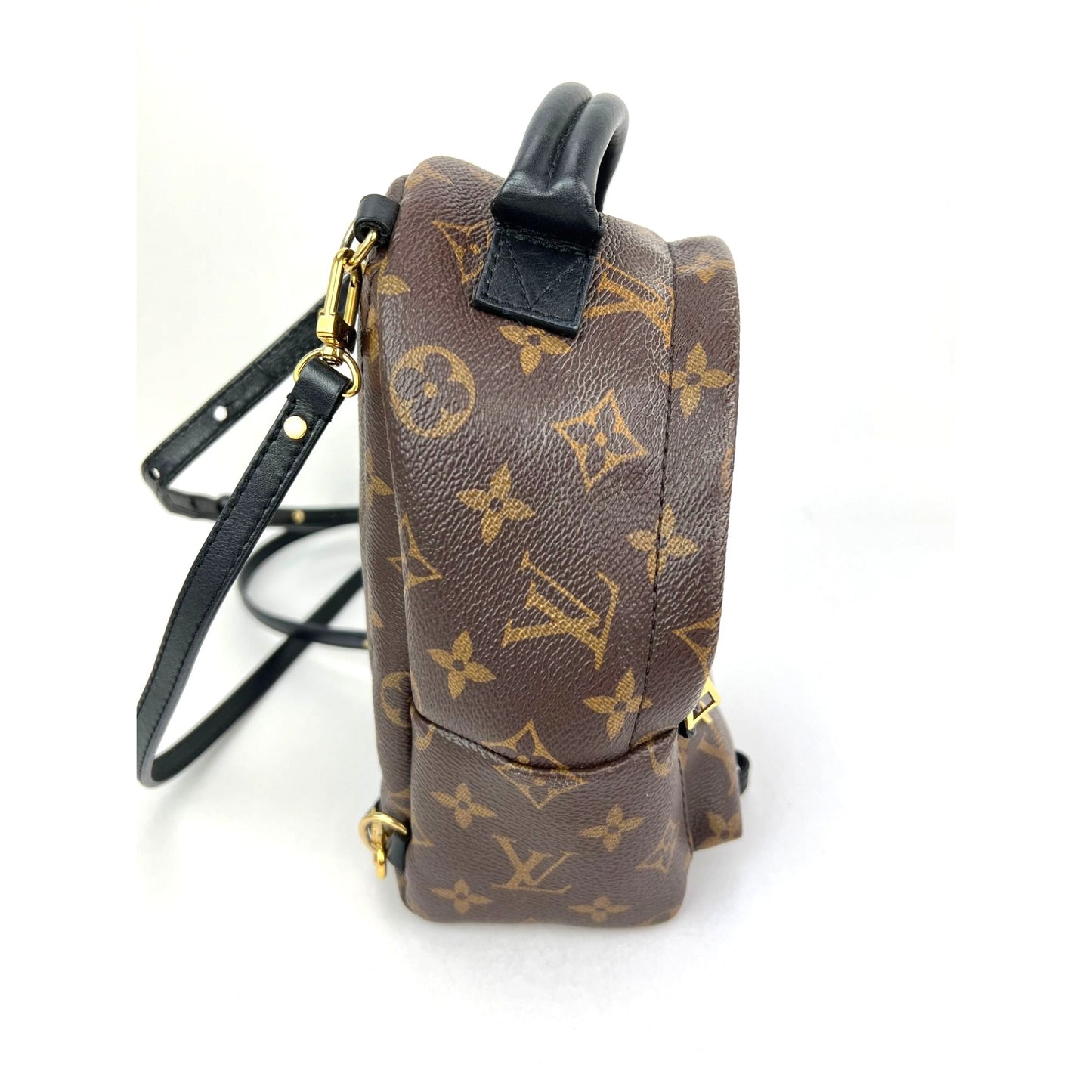 
                  
                    Louis Vuitton Palm Springs Mini Monogram Backpack Bag
                  
                