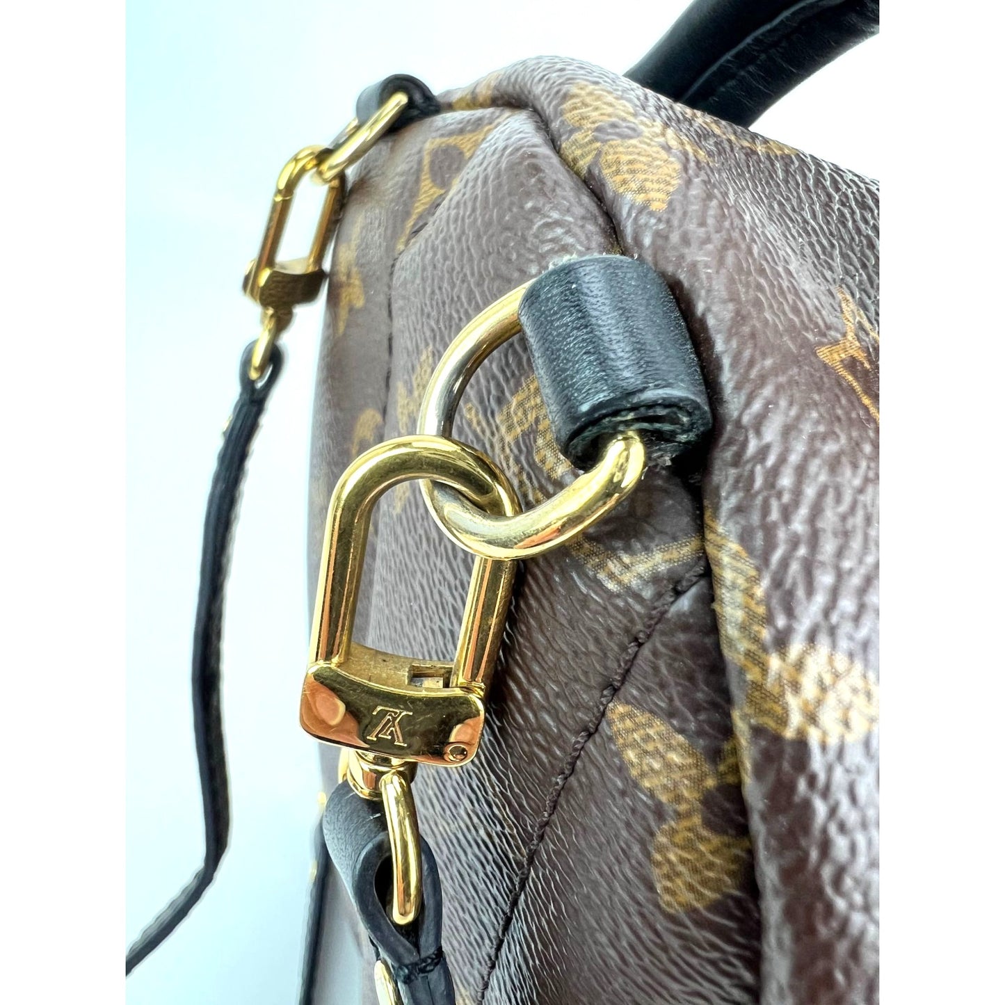 
                  
                    Louis Vuitton Palm Springs Mini Monogram Backpack Bag
                  
                