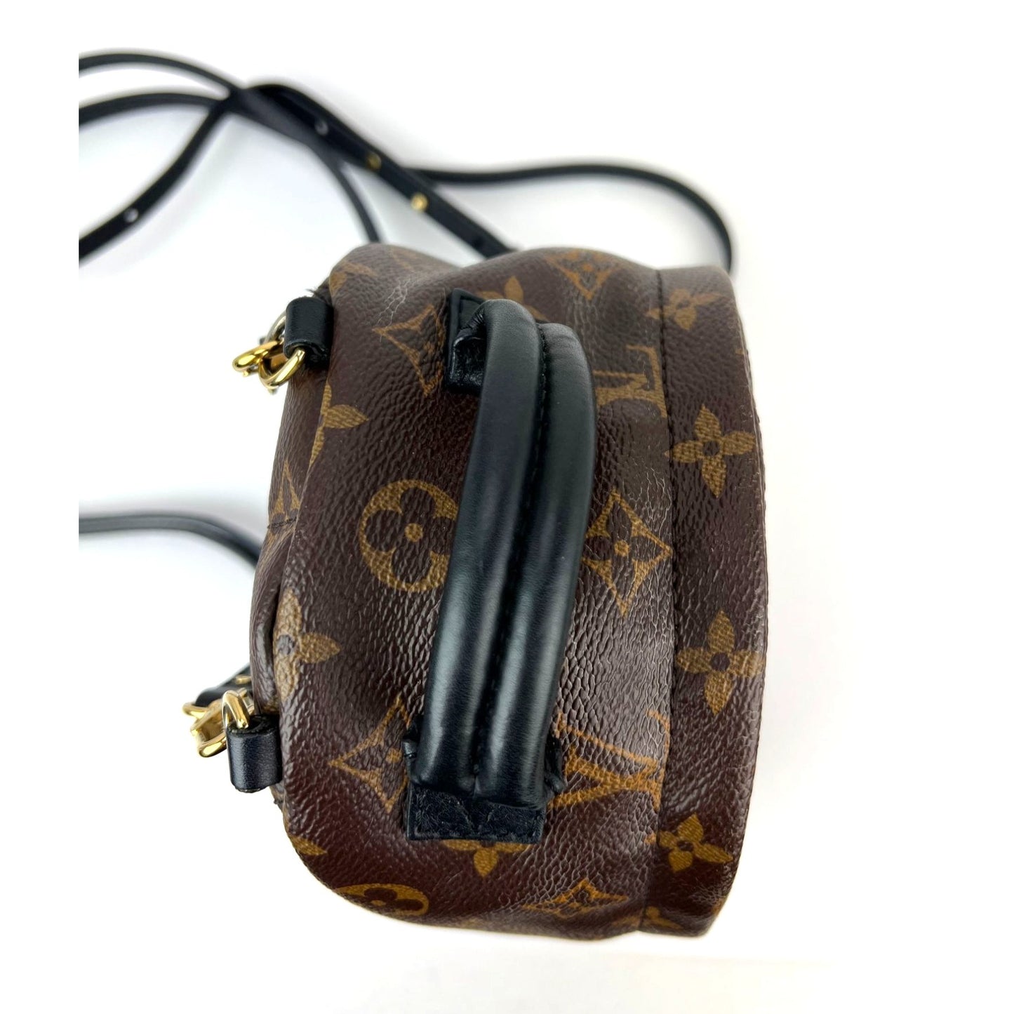 
                  
                    Louis Vuitton Palm Springs Mini Monogram Backpack Bag
                  
                