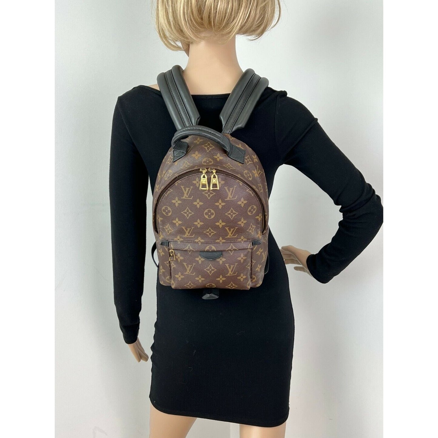 
                  
                    Louis Vuitton Backpack Palm Springs PM Monogram Canvas Backpack
                  
                