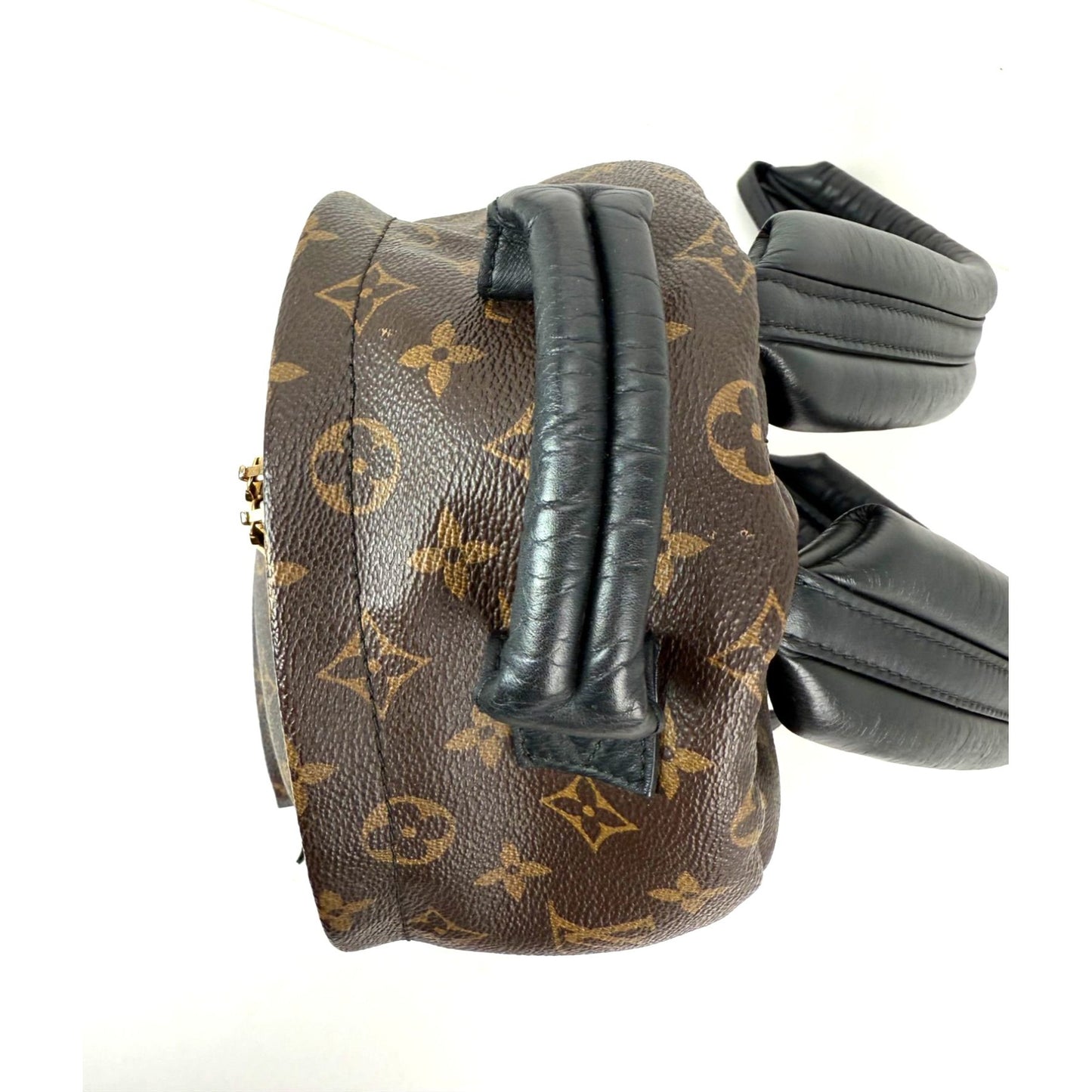 
                  
                    Louis Vuitton Backpack Palm Springs PM Monogram Canvas Backpack
                  
                