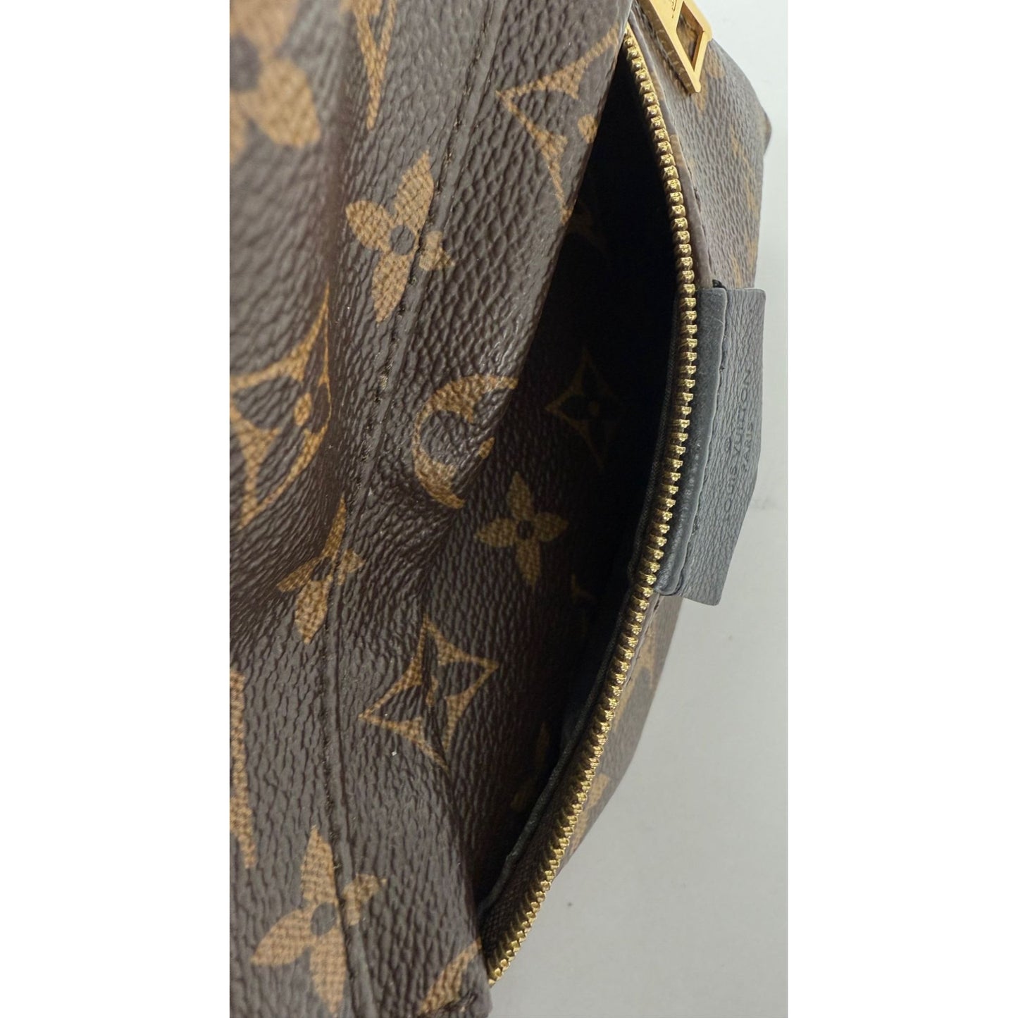 
                  
                    Louis Vuitton Backpack Palm Springs PM Monogram Canvas Backpack
                  
                