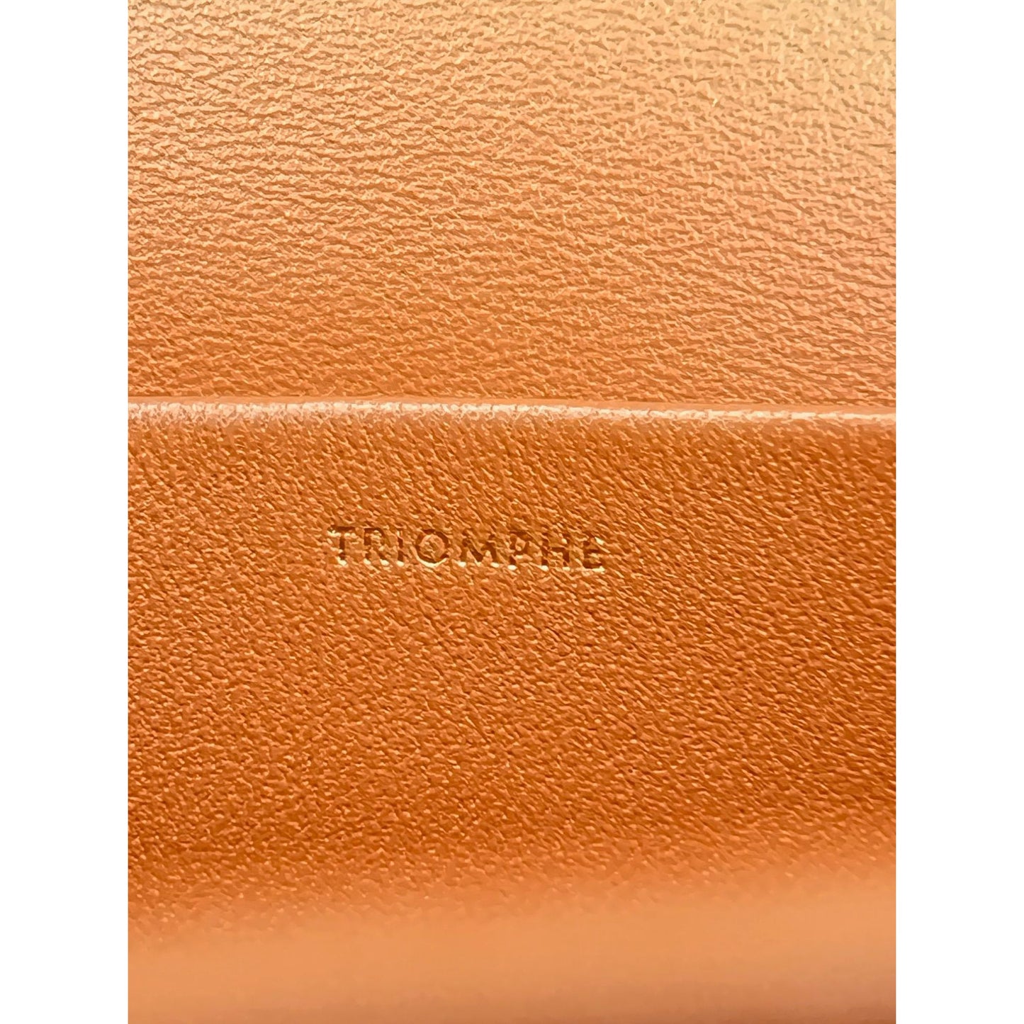 
                  
                    Celine triomphe Claude Brown Canvas Shoulder Bag
                  
                
