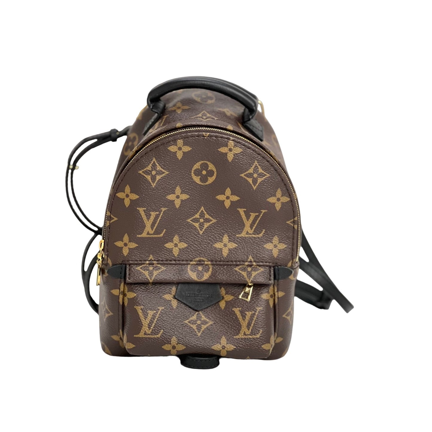 Louis Vuitton Monogram Palm Springs Brown Mini Backpack