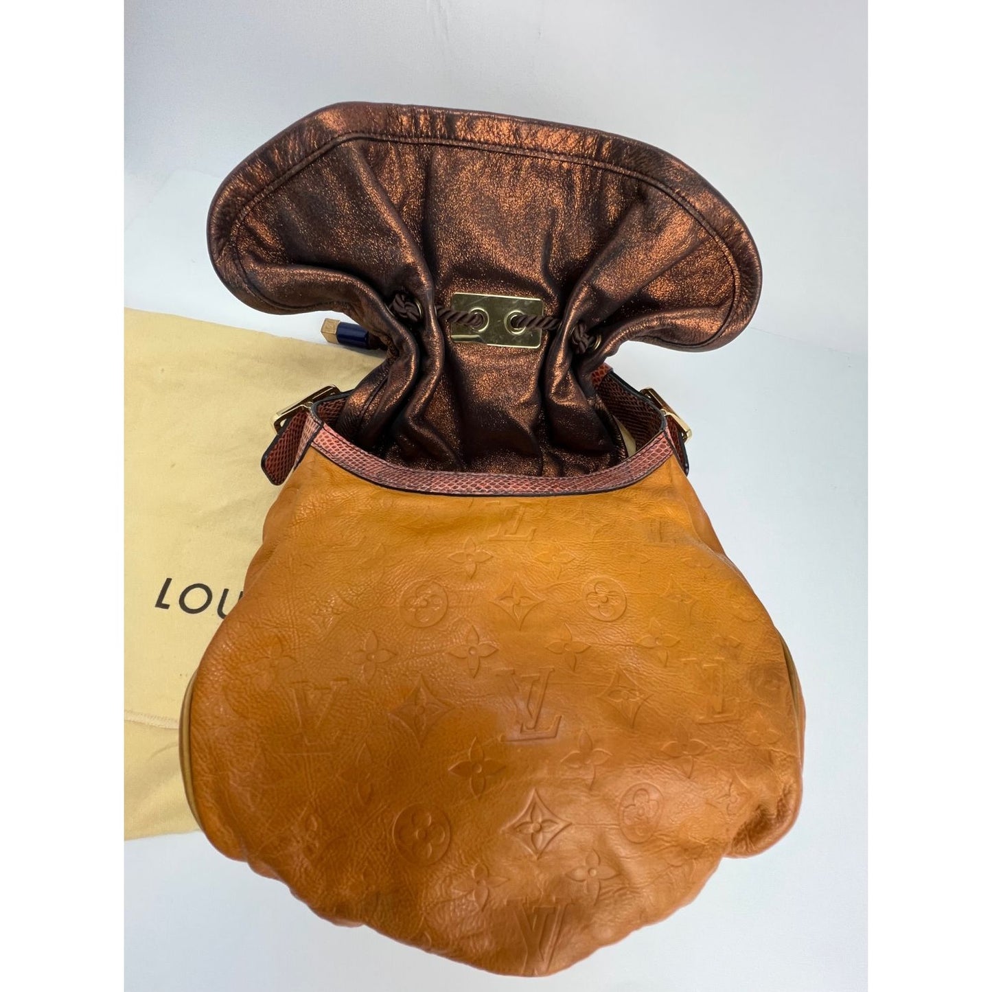 Louis Vuitton Monogram Snakeskin-Trimmed Epices Kalahari PM - Orange Handle  Bags, Handbags - LOU547657