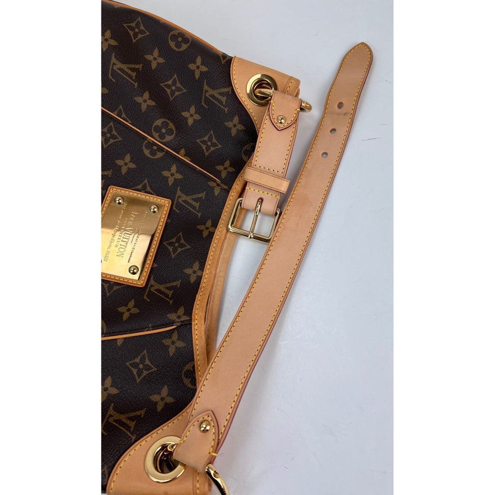 
                  
                    Louis Vuitton Galliera PM Monogram Shoulder Bag
                  
                