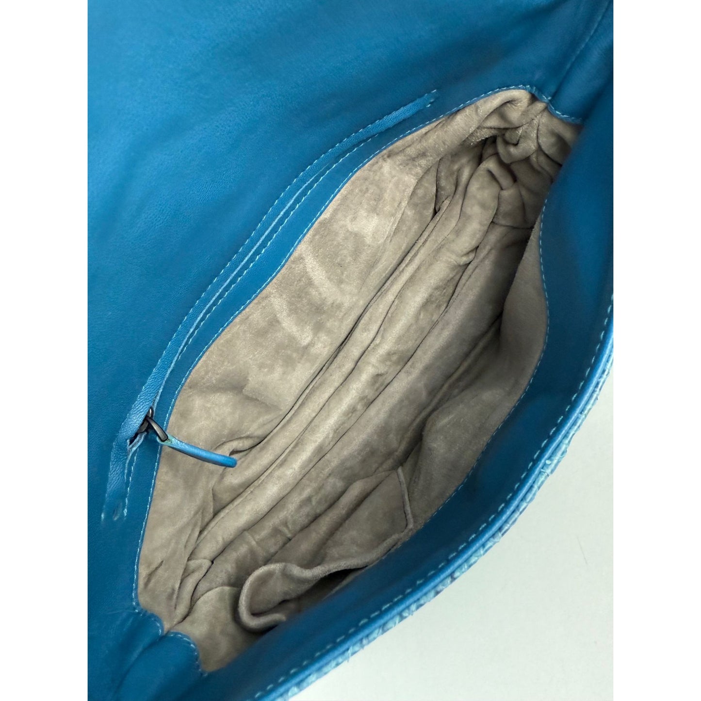 
                  
                    Bottega Veneta Python Embossed Blue Leather Shoulder Bag  EBAY LIVE
                  
                