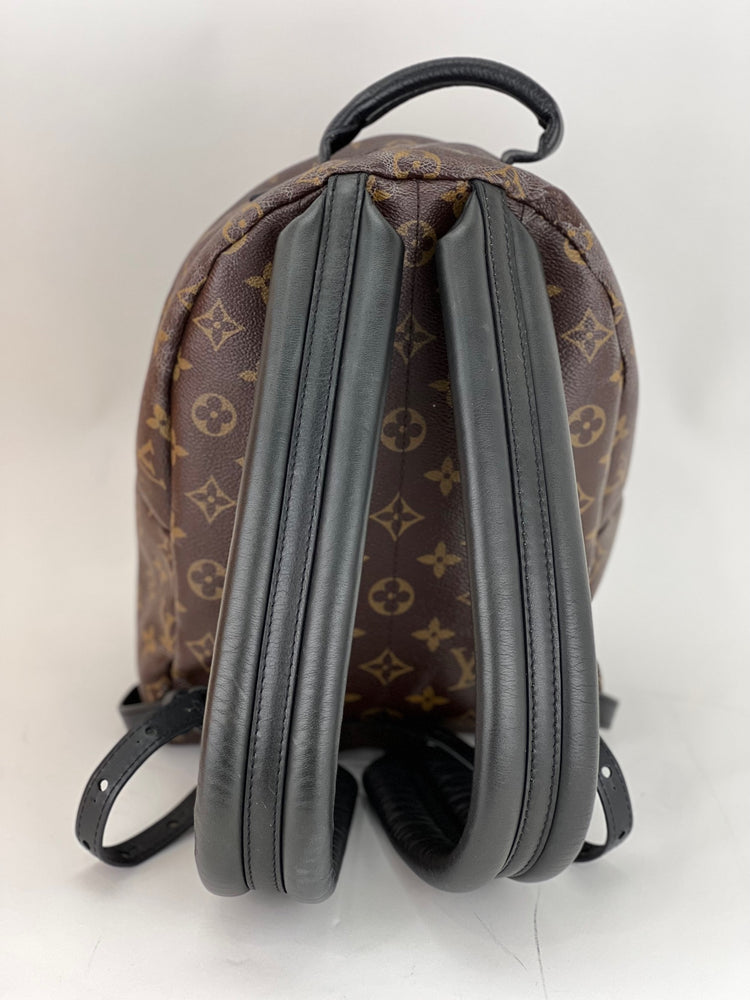 Louis Vuitton Monogram Canvas Palm Springs Backpack PM Bag