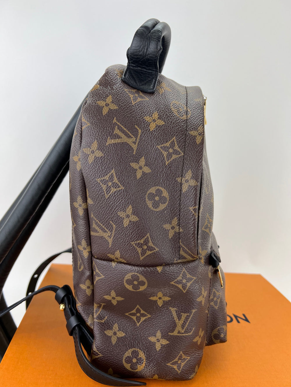 Louis Vuitton Monogram Canvas Palm Springs Backpack PM Bag - Yoogi's Closet