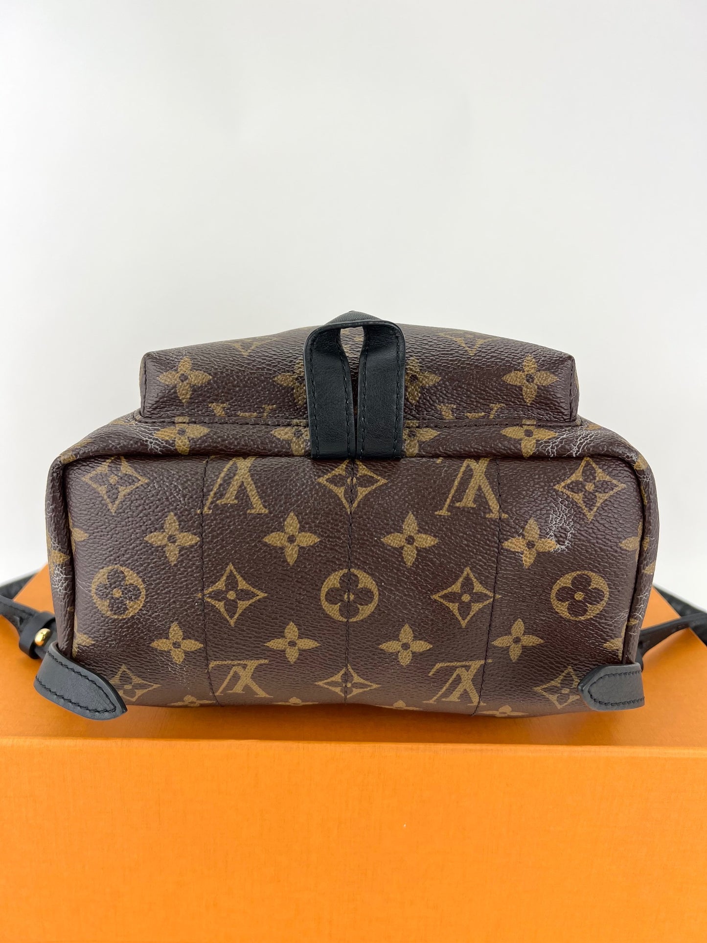 Louis Vuitton Monogram Palm Springs PM Backpack - A World Of Goods