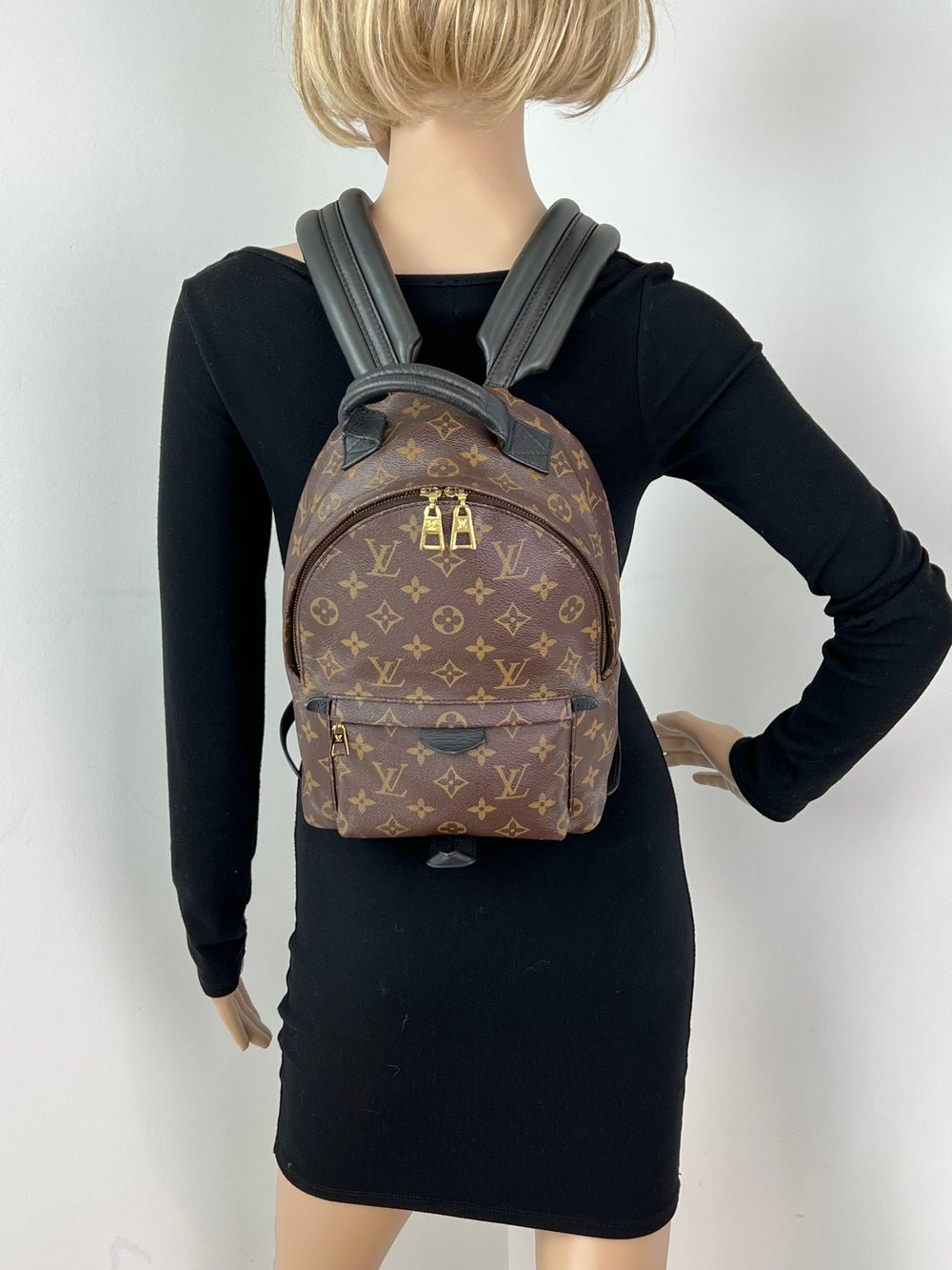 Louis Vuitton Mini Palm Springs Backpack Review - She's Amazing! 