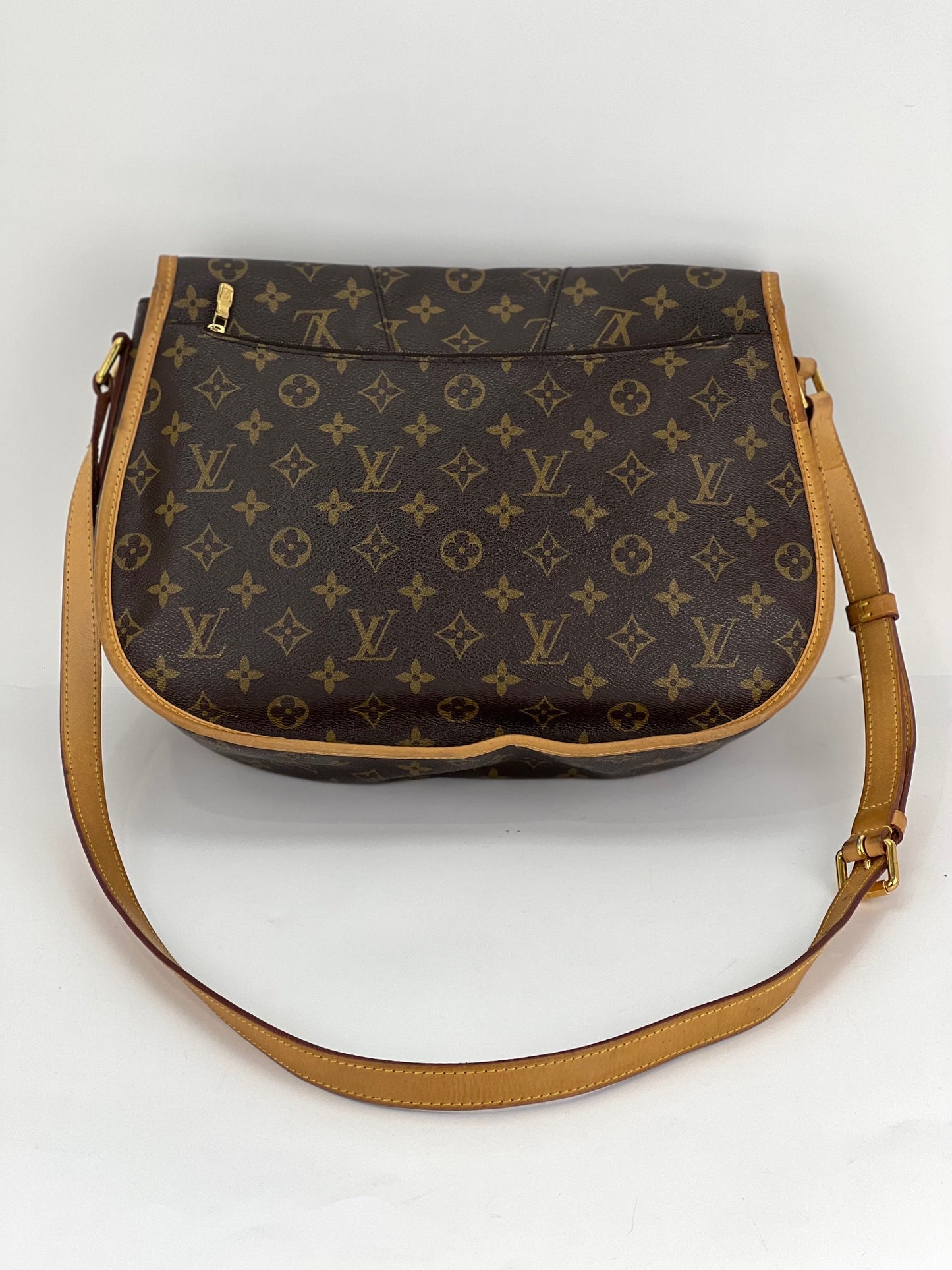 Louis Vuitton Monogram Menilmontant MM Bag (Previously Owned